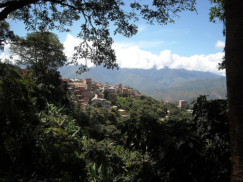 Chulumani